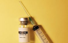 Через 4 месяца после вакцинации уровень антител резко падает