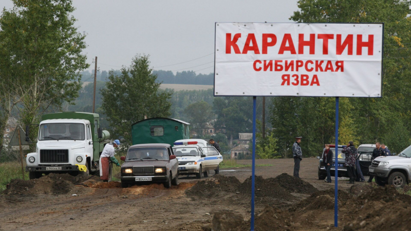 Заражение людей сибирской язвой зафиксировали в Акмолинской области